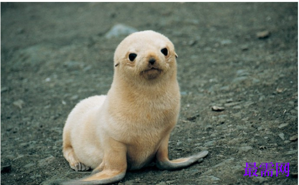 1763716941817885.png image.png