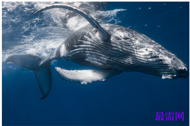 1763720981984152.png image.png