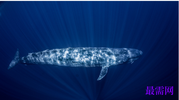 1763720987633356.png image.png