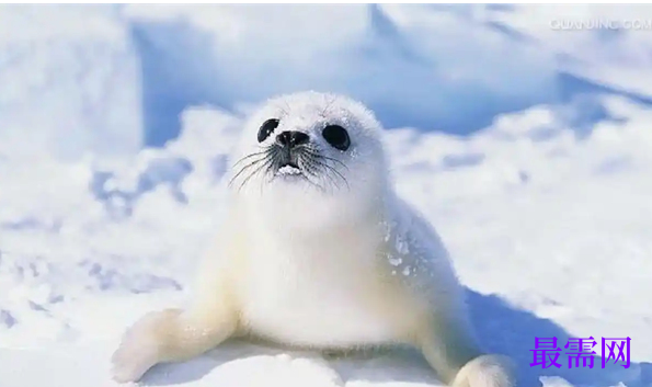 1763721358658738.png image.png