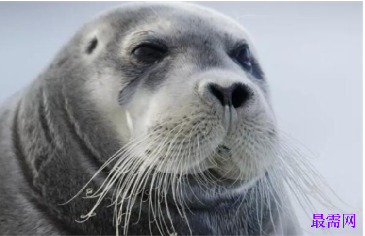 1763722197396370.png image.png