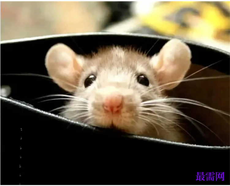 1763722301387856.png image.png