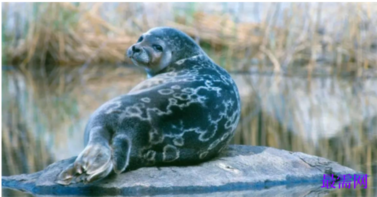 1763722378455703.png image.png