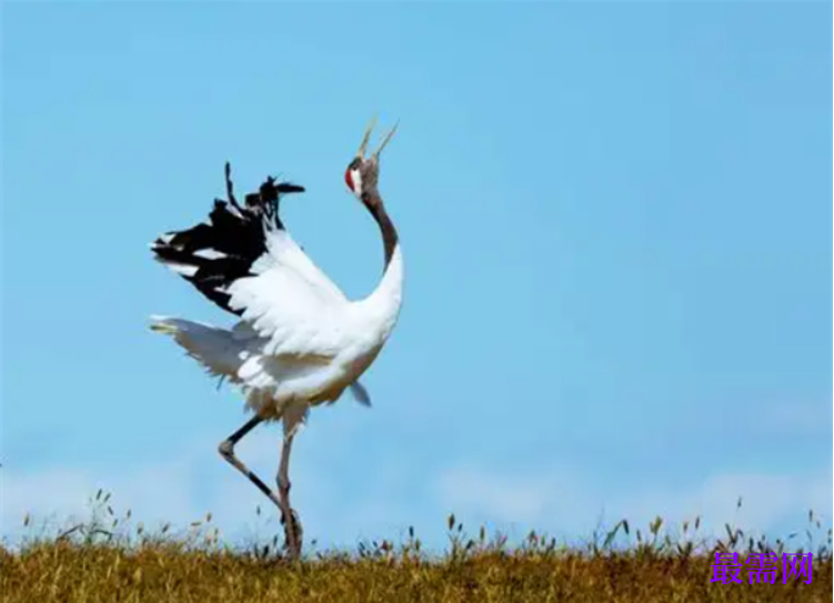 1763722624296133.png image.png