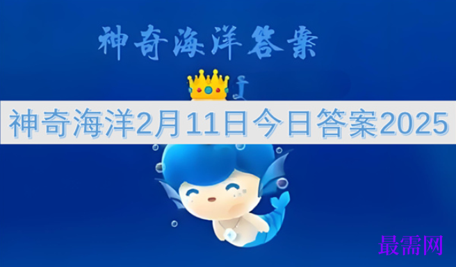 1763723059516312.png image.png