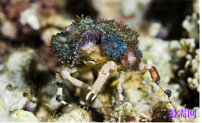 1763723186628397.png image.png