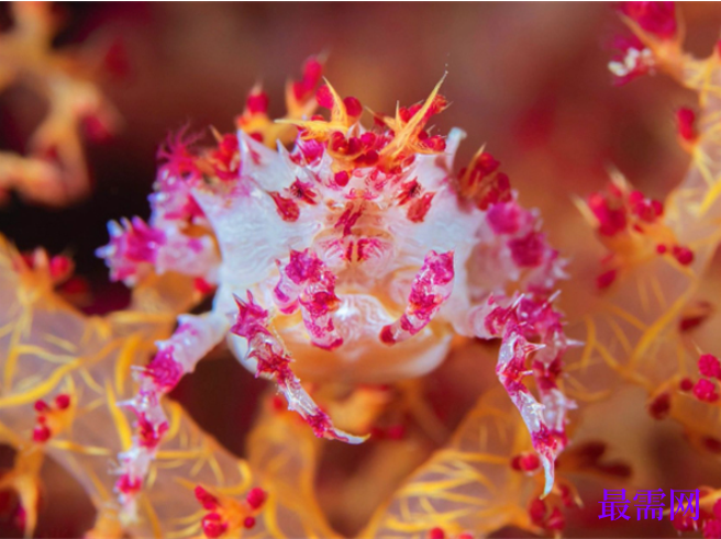 1763723279274669.png image.png