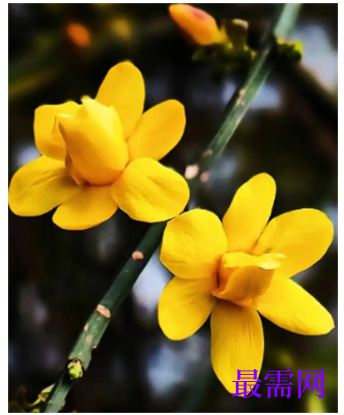 1763723321967052.png image.png