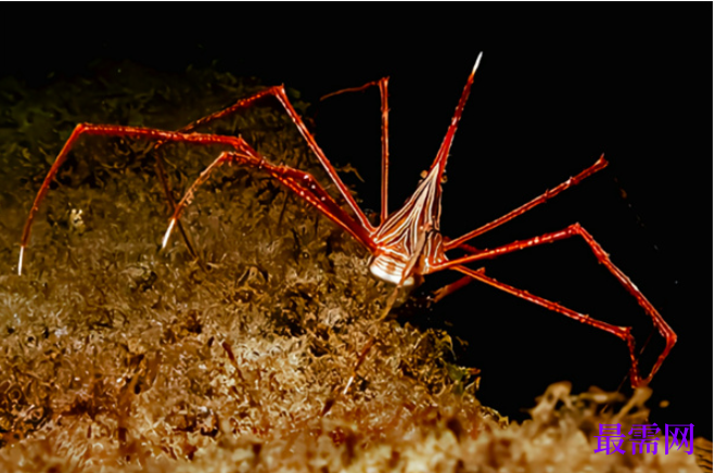 1763723440834580.png image.png