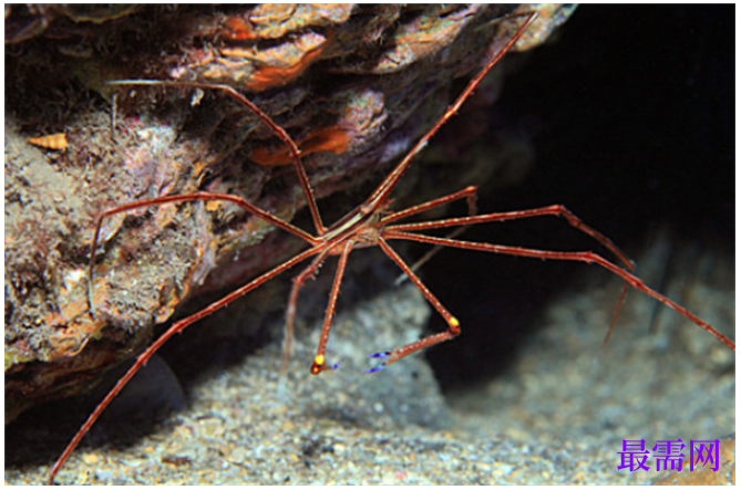 1763723446190089.png image.png