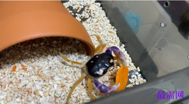 1763723743911157.png image.png