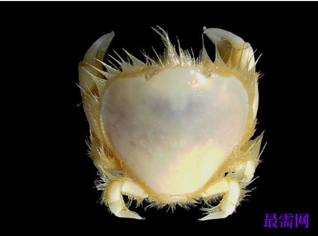 1763726417661696.png image.png