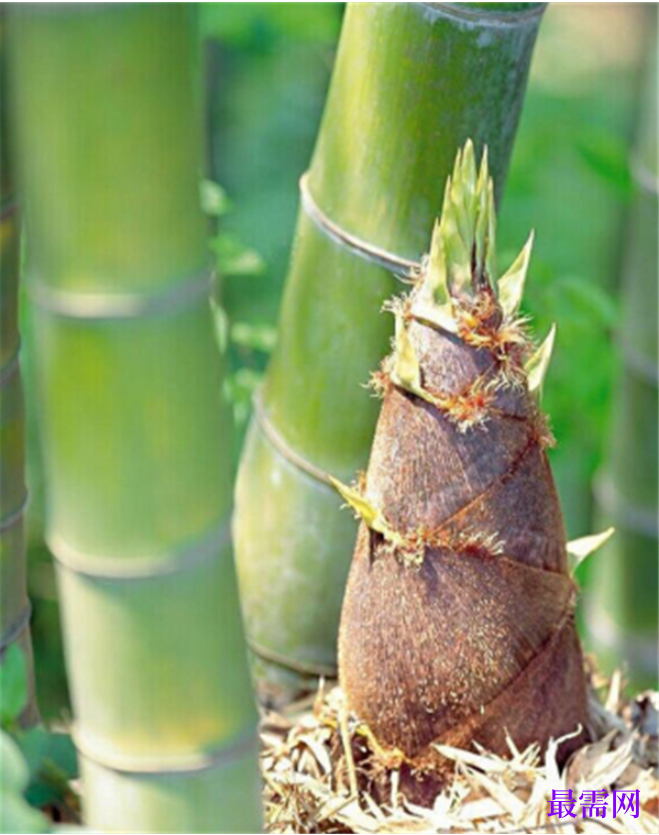 1763726482931434.png image.png