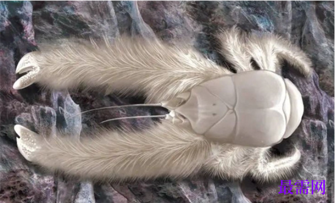 1763727039423883.png image.png