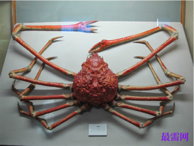 1763727199230353.png image.png