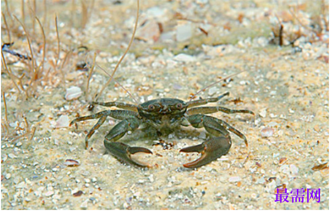 1763727325243618.png image.png