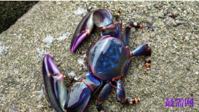 1763727342282064.png image.png