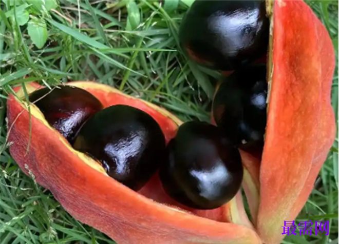 1763727371834946.png image.png