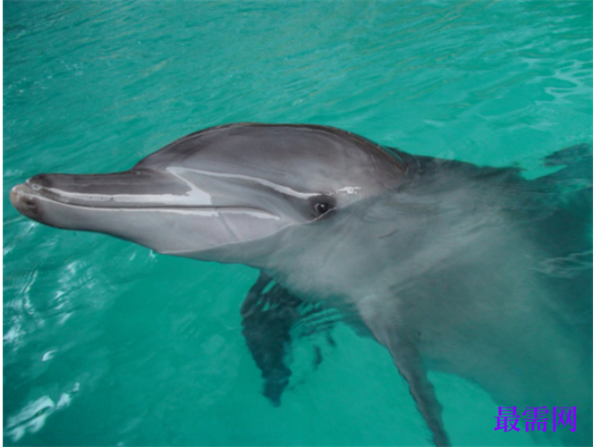 1763727451854991.png image.png