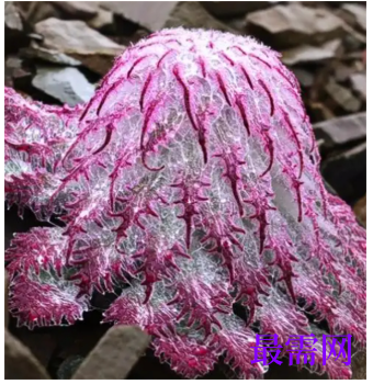 1763727488841422.png image.png