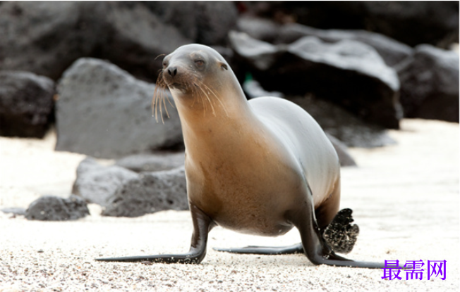 1763727646869757.png image.png