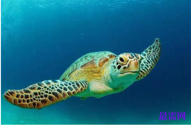 1763727889290095.png image.png