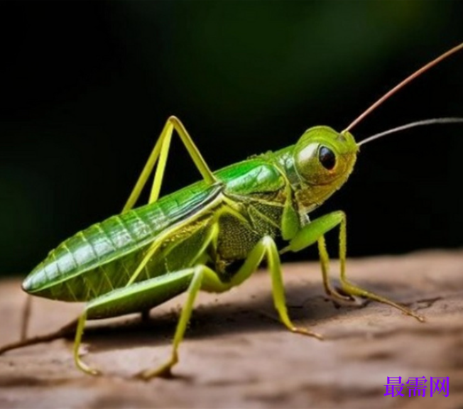 1763728174518098.png image.png