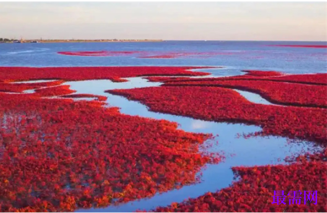 1763728245623620.png image.png