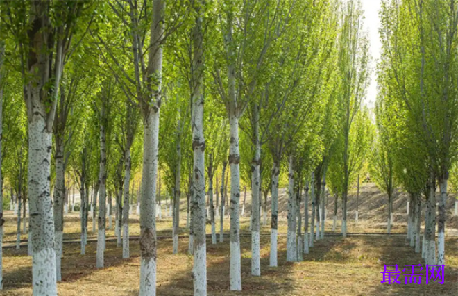 1763728278786747.png image.png