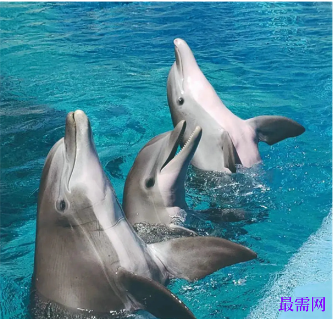 1763728379608435.png image.png