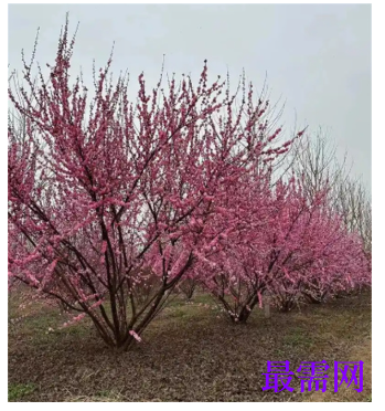 1763729149981960.png image.png