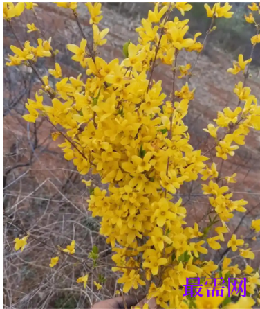 1763729748269924.png image.png