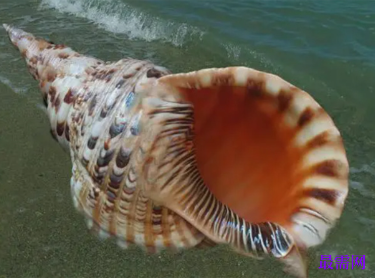 1763729825255324.png image.png