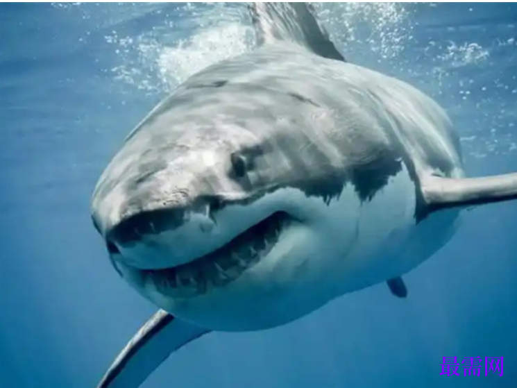 1763729979787289.png image.png