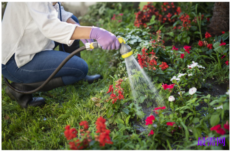 1763730615236898.png image.png