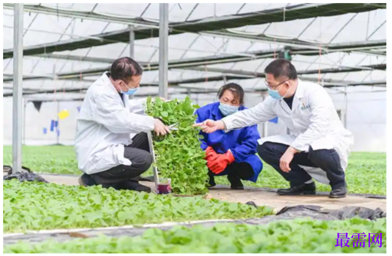 1763730965875136.png image.png