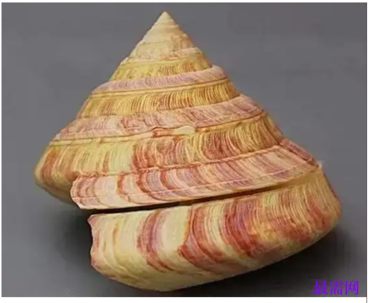 1763731053651542.png image.png