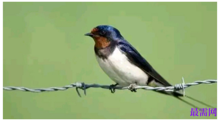 1763731195749424.png image.png