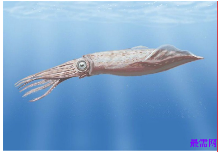 1763732329696420.png image.png