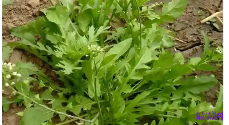 1763732357319491.png image.png