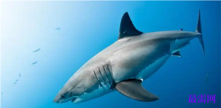 1763949823254756.png image.png