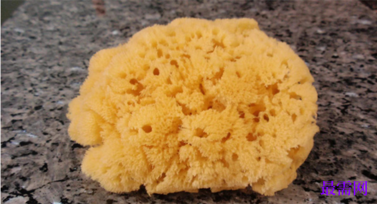 1763950025626948.png image.png