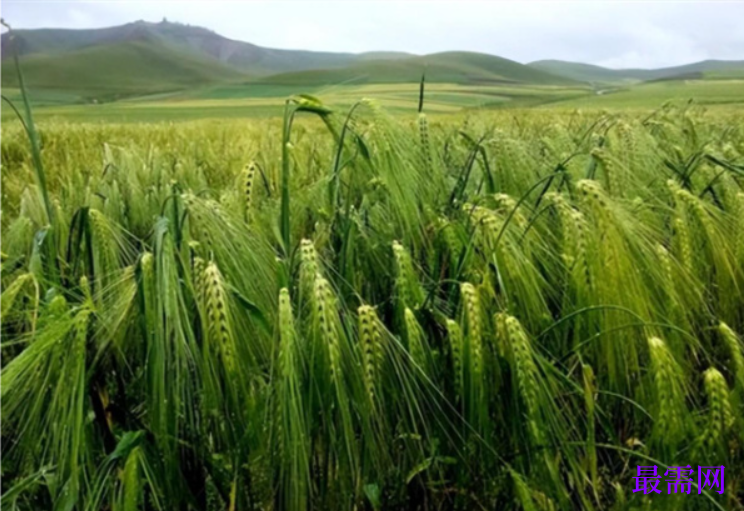 1763950190582816.png image.png