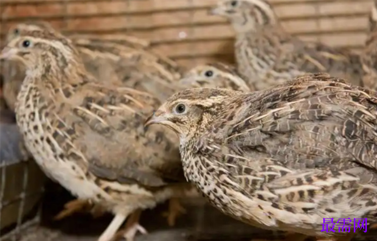 1763950477360789.png image.png