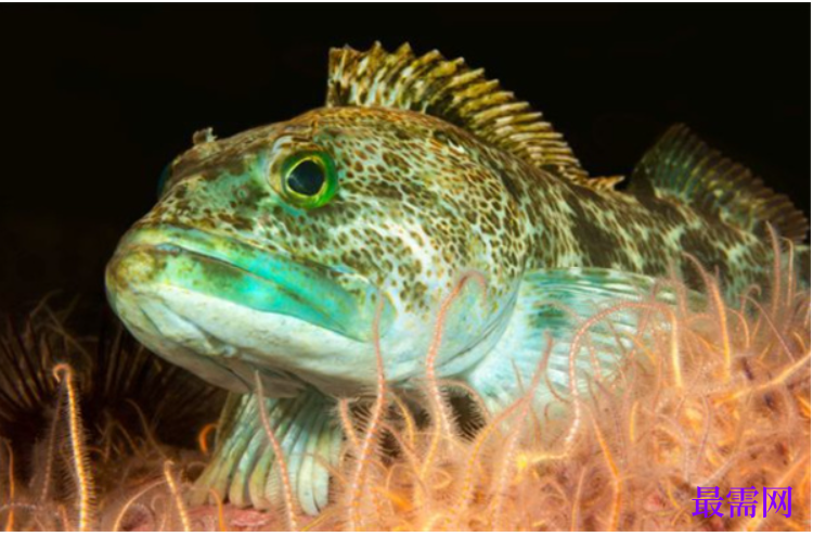 1763950637852189.png image.png