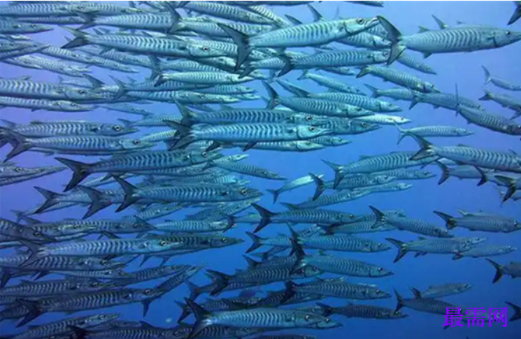 1763950814588448.png image.png