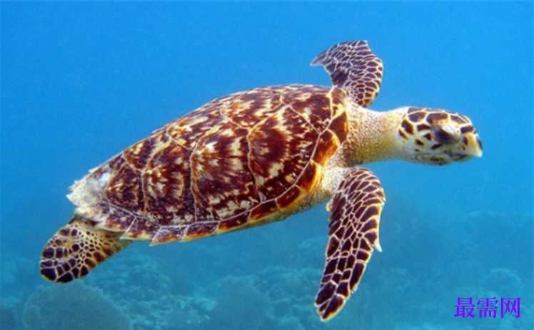 1763951758425629.png image.png