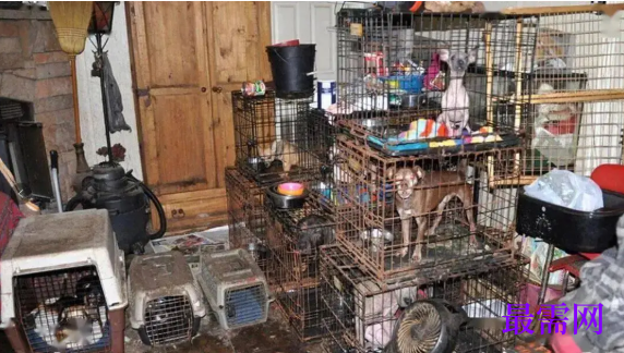 1763970558698074.png image.png