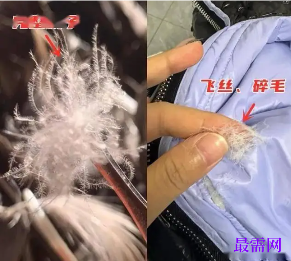 1763975441524311.png image.png