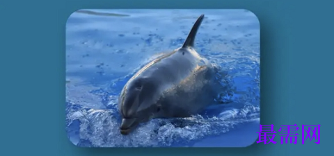 1764142174423378.png image.png